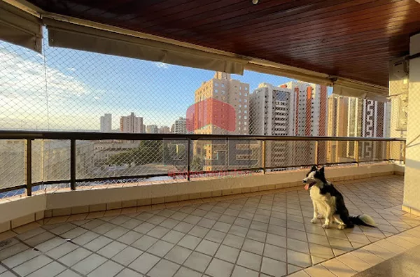 Apartamento em Centro  -  Ribeirão Preto - Foto 3