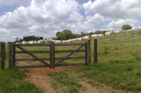 Fazenda para venda Zona Rural Uberaba - Foto 1