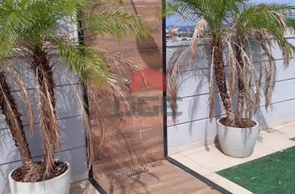 Apartamento em Vila Maria Luiza  -  Ribeirão Preto - Foto 3