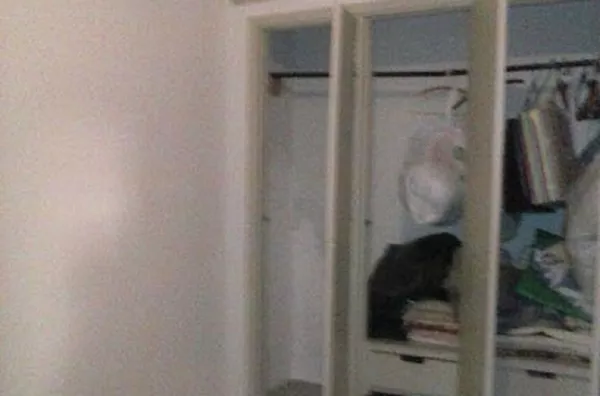 Casa para aluguel e venda Jardim América RIBEIRAO PRETO - Foto 1