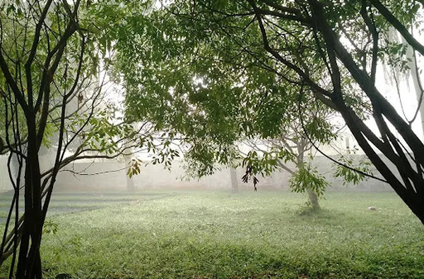 Chácara para venda Zona Rural Jardinópolis - Foto 6