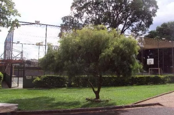 Apartamento para aluguel Jardim Interlagos RIBEIRAO PRETO - Foto 2