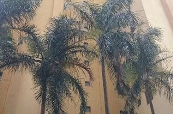 Apartamento para aluguel JARDIM SUMARE RIBEIRAO PRETO - Foto 1
