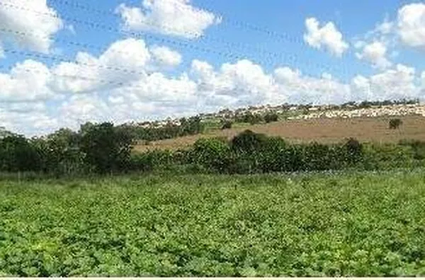Terreno para venda Bonfim Paulista RIBEIRAO PRETO - Foto 3