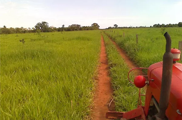 Fazenda para venda Centro Santa Rita do Araguaia - Foto 6