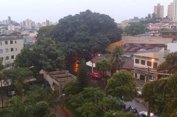 Apartamento para aluguel Jardim Palma Travassos RIBEIRAO PRETO - Foto 2