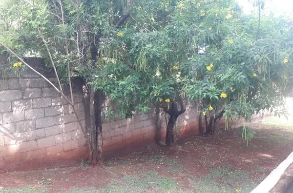 Terreno para venda Parque Anhanguera RIBEIRAO PRETO - Foto 2