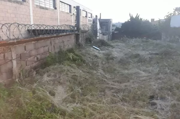 Terreno para venda Campos Elíseos RIBEIRAO PRETO - Foto 1