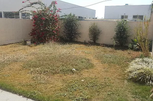 Casa para aluguel Jardim Califórnia RIBEIRAO PRETO - Foto 2