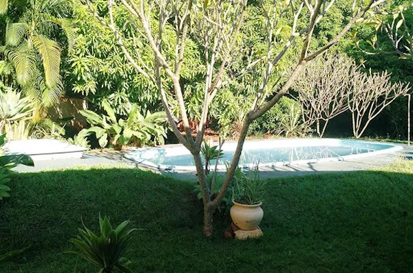 Chácara para venda Zona Rural Jardinópolis - Foto 7