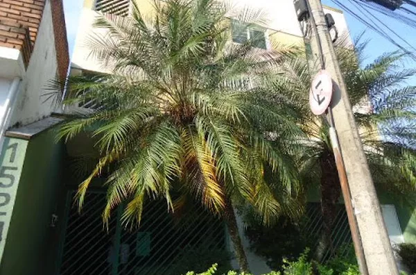 Apartamento para venda Vila Seixas RIBEIRAO PRETO - Foto 2