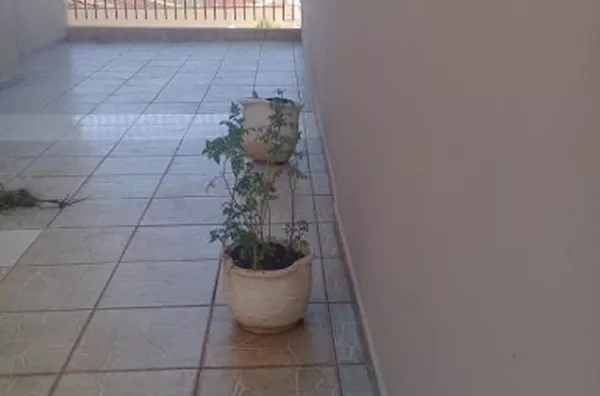 Apartamento para venda Parque dos Bandeirantes RIBEIRAO PRETO - Foto 5
