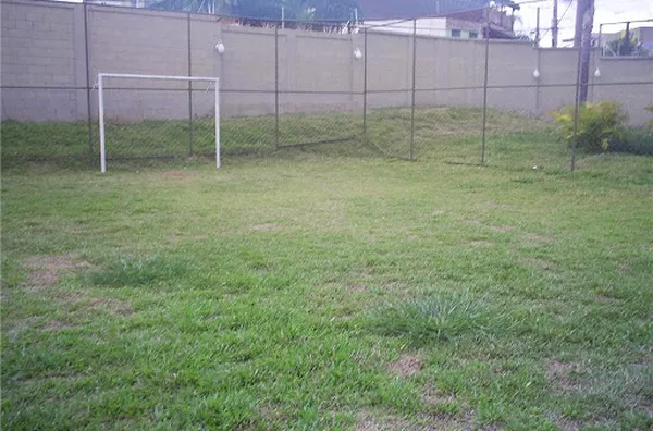 Campo