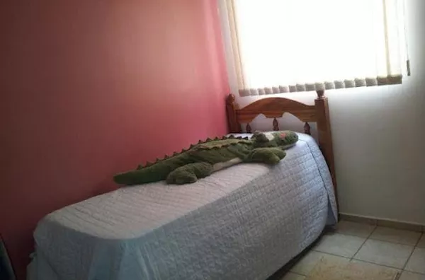 Apartamento para aluguel Jardim Palma Travassos RIBEIRAO PRETO - Foto 3