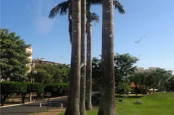 Apartamento para aluguel Parque Residencial Lagoinha RIBEIRAO PRETO - Foto 16