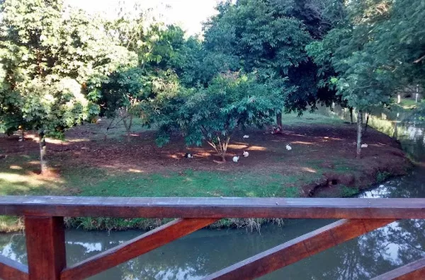 Casa para aluguel Jardim Interlagos RIBEIRAO PRETO - Foto 4