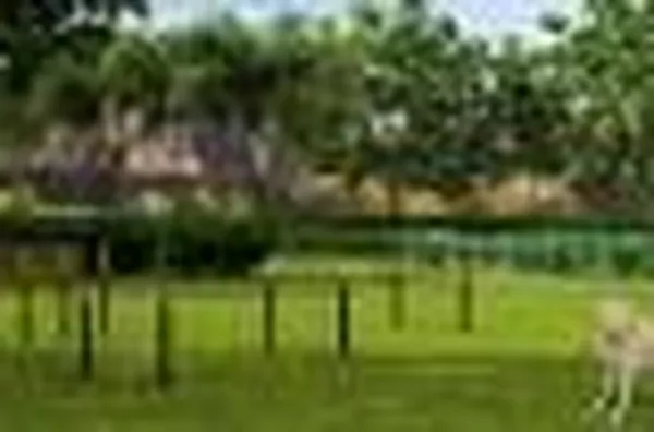 Terreno para venda Recreio das Acácias RIBEIRAO PRETO - Foto 12
