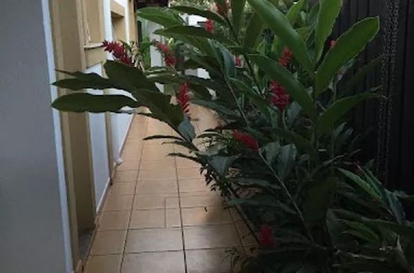 Sobrado para venda Jardim Botânico RIBEIRAO PRETO - Foto 4