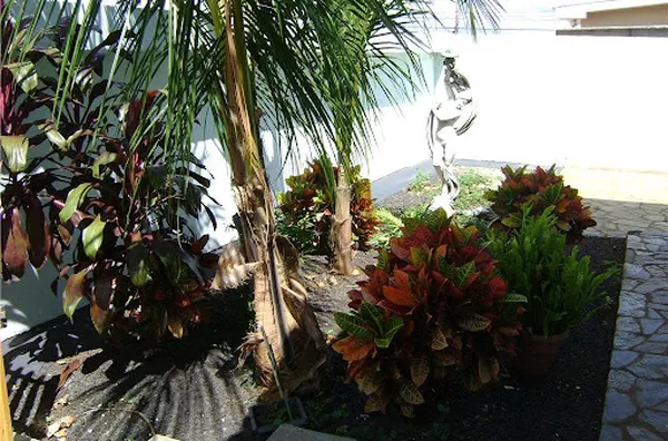 Casa para aluguel Sumarézinho  RIBEIRAO PRETO - Foto 4
