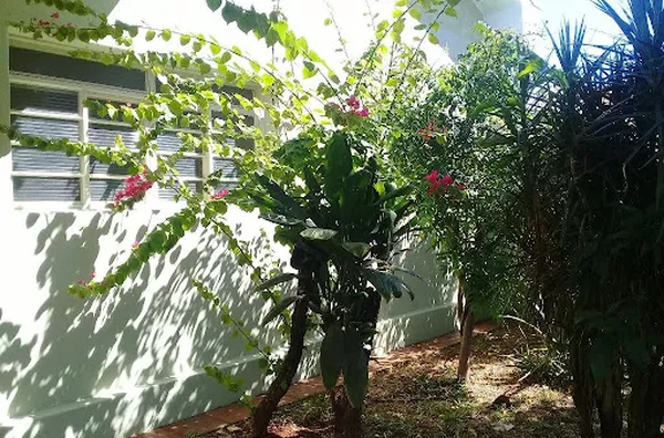 Casa para aluguel Campos Elíseos RIBEIRAO PRETO - Foto 1