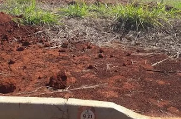Terreno para venda Recreio das Acácias RIBEIRAO PRETO - Foto 6