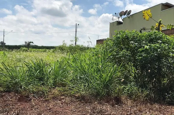 Terreno para venda Zona Rural Planura - Foto 3