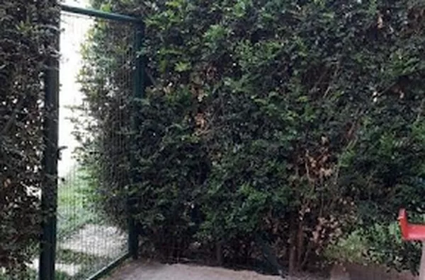 Apartamento para venda Jardim São José RIBEIRAO PRETO - Foto 3