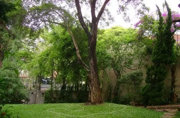 Casa para aluguel Campo Belo São Paulo - Foto 6