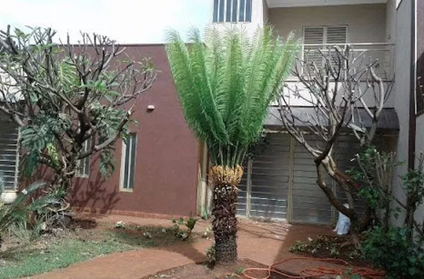 Casa para aluguel Parque Residencial Cidade Universitária RIBEIRAO PRETO - Foto 1