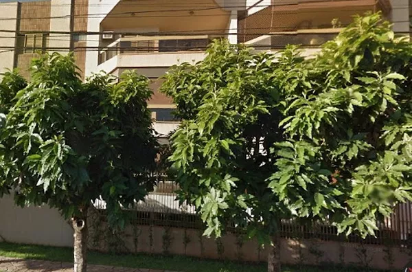 Apartamento para venda Parque dos Bandeirantes RIBEIRAO PRETO - Foto 1