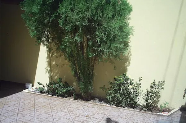 Casa para venda Sumarézinho  RIBEIRAO PRETO - Foto 3