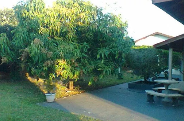 Casa para venda Centro Jardinópolis - Foto 13