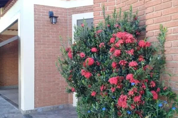 Casa para aluguel Nova Ribeirânia RIBEIRAO PRETO - Foto 2