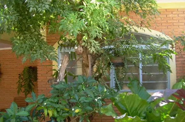 Casa para venda Parque dos Bandeirantes RIBEIRAO PRETO