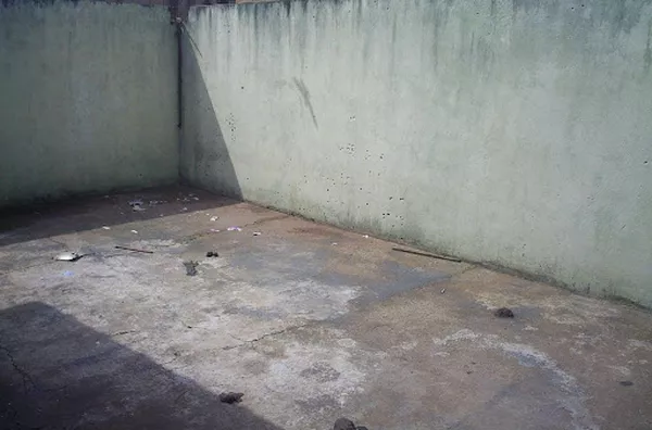 Casa para venda Parque dos Pinus RIBEIRAO PRETO - Foto 2