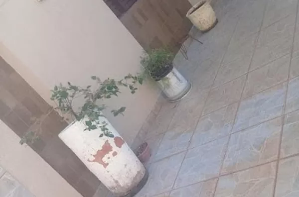 Apartamento para venda Parque dos Bandeirantes RIBEIRAO PRETO - Foto 6