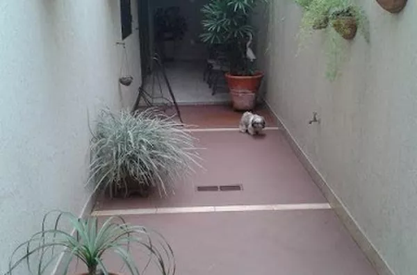 Apartamento para venda Parque Industrial Lagoinha RIBEIRAO PRETO - Foto 1