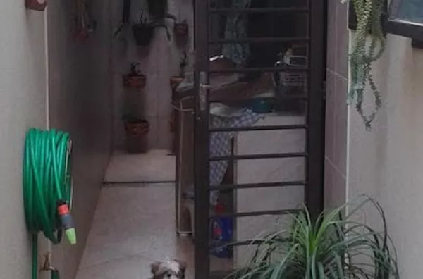 Apartamento para venda Parque Industrial Lagoinha RIBEIRAO PRETO - Foto 5