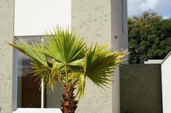 Casa para venda Condomínio Residencial San Marco RIBEIRAO PRETO - Foto 2