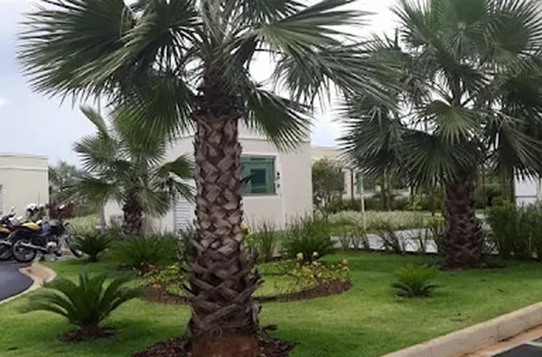 Apartamento para aluguel Residencial Jequitibá RIBEIRAO PRETO - Foto 6
