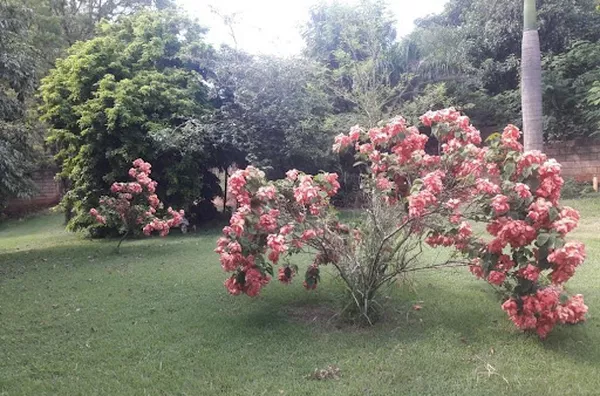 Terreno para venda Parque Anhanguera RIBEIRAO PRETO - Foto 1