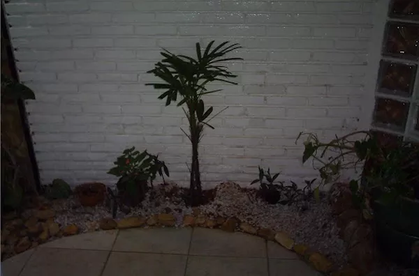 Jardim