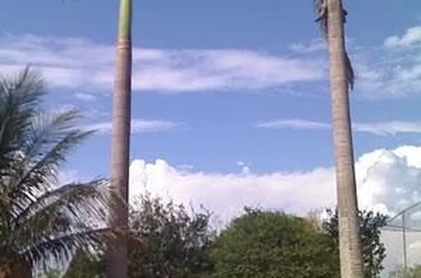 Chácara para venda Centro Jardinópolis
