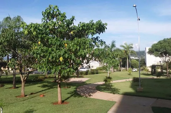 Apartamento para aluguel Condomínio Guaporé RIBEIRAO PRETO - Foto 6
