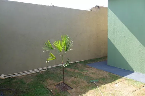 Casa para venda Parque das Oliveiras RIBEIRAO PRETO - Foto 4