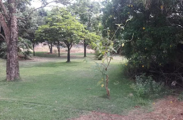 Terreno para venda Parque Anhanguera RIBEIRAO PRETO - Foto 3