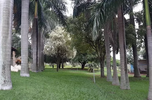 Sítio para venda Zona Rural Santa Salete - Foto 5