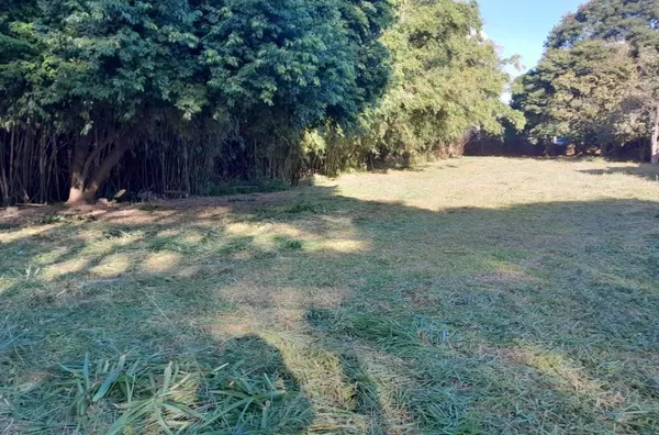 CCP 55 Terreno