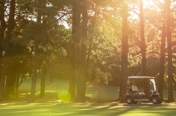 Campo de golfe