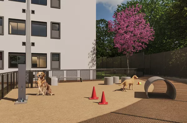 Pet place